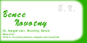 bence novotny business card